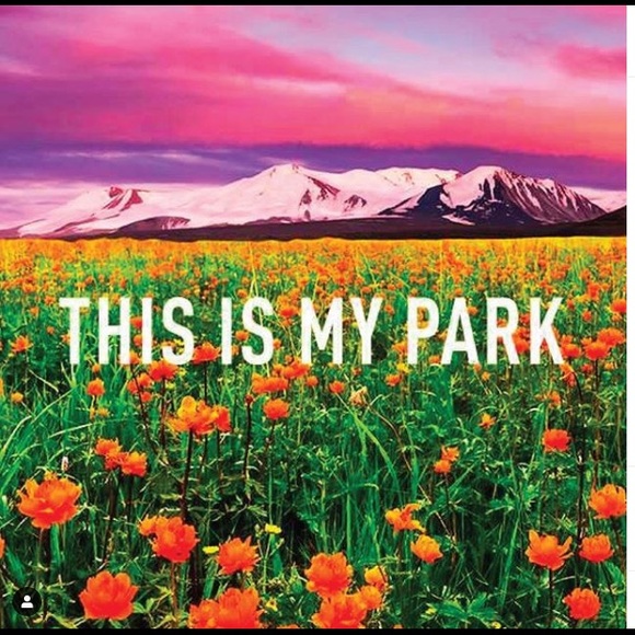 Adidas x Ivy Park Cutout Medium Support Bra - Picture 7 of 8